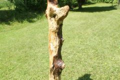 Skulptur-12