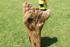 Skulptur-14