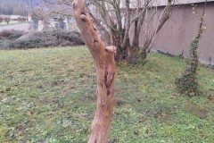 Skulptur-4